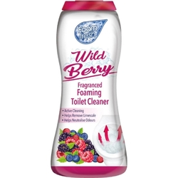 Foam Fresh Pěnivý čistící prášek do toalety Wild Berry 370g